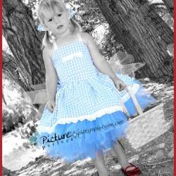 Boutique Dorothy from Oz Halloween Costume